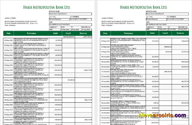 Pakistan Habib Metropolitan bank statement Word and PDF, 5 pages 1 2